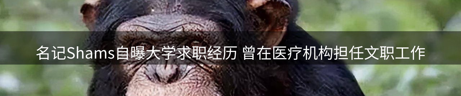 焦点新闻