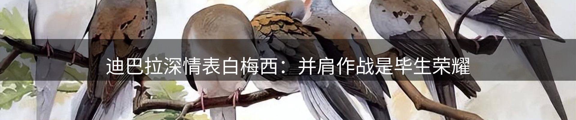 焦点新闻