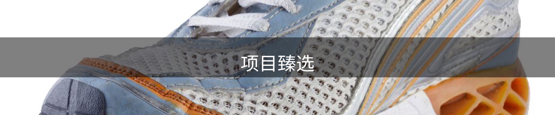 项目臻选