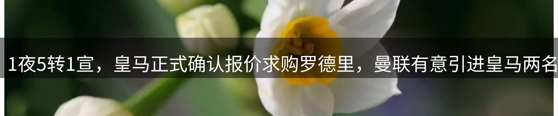 头号玩家官网要闻