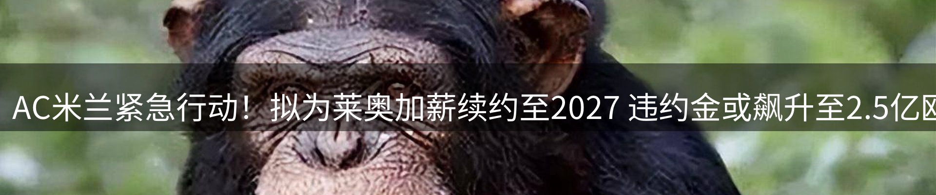 头号玩家官网要闻